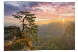 Print på aluminium Sunrise in Saxon Switzerland