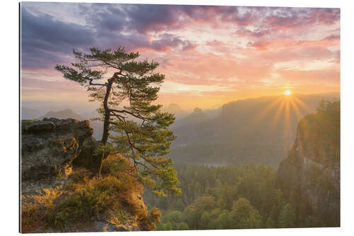 Gallery print Sunrise in Saxon Switzerland