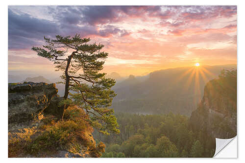 Autocolante decorativo Sunrise in Saxon Switzerland