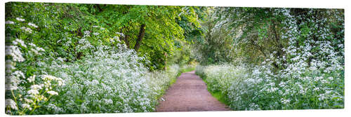 Canvas-taulu Woodland Spring Path