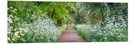 Foam board print Woodland Spring Path