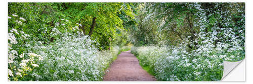 Sticker mural Woodland Spring Path