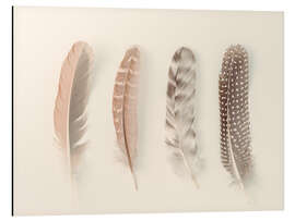 Alubild Study of Feathers