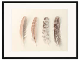 Gerahmter Kunstdruck Study of Feathers