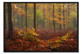 Gerahmter Kunstdruck Roter Herbst in einem niederländischen Wald