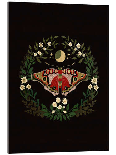 Akryylilasitaulu Moon Moth