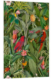 Foam board print Jungle Parrots Paradise