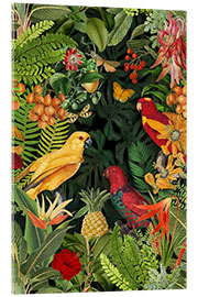 Akrylglastavla  Parrots Lush Jungle - Andrea Haase
