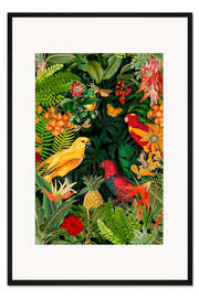 Gerahmter Kunstdruck Parrots Lush Jungle