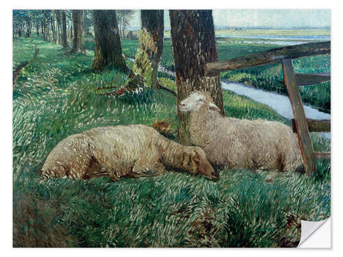 Adesivo murale Sheep Resting