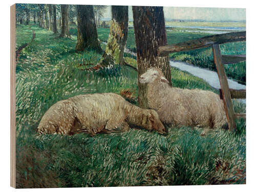 Print på træ Sheep Resting