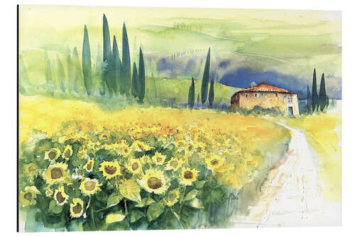 Aluminiumsbilde Sunflower Field in Tuscany