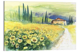 Stampa su alluminio Sunflower Field in Tuscany