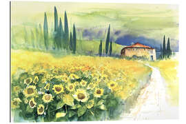 Quadro em plexi-alumínio Sunflower Field in Tuscany