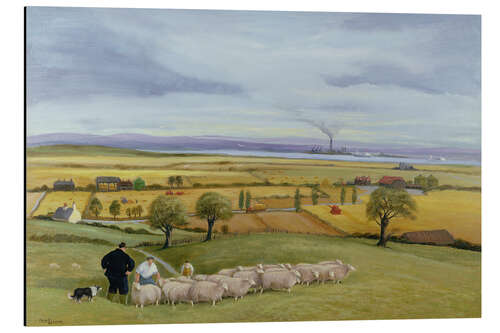 Aluminium print Sheep Farmer, Isle of Sheppey