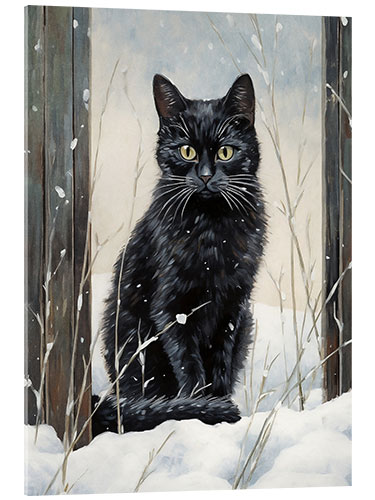 Cuadro de metacrilato Black Cat in Snow