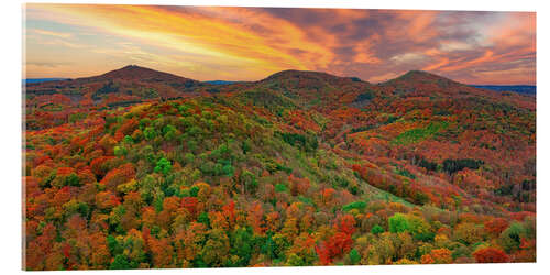 Acrylic print Autumnal Siebengebirge - Königswinter, Germany