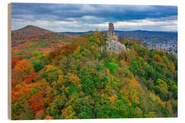 Holzbild Siebengebirge mit Drachenfels