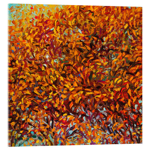 Tableau en verre acrylique Autumn Tree - Lake Washington Boulevard