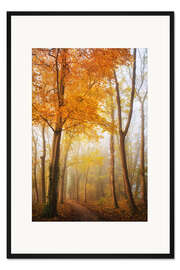 Gerahmter Kunstdruck Spätherbst in einem Niederländischen Wald
