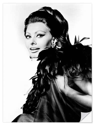 Naklejka na ścianę Sophia Loren in "Arabesque"