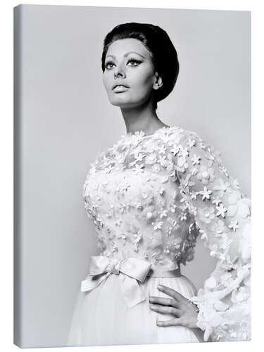 Canvas-taulu Sophia Loren, 1966