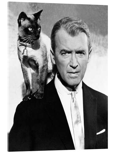 Obraz na szkle akrylowym James Stewart in "Bell, Book and Candle", 1958