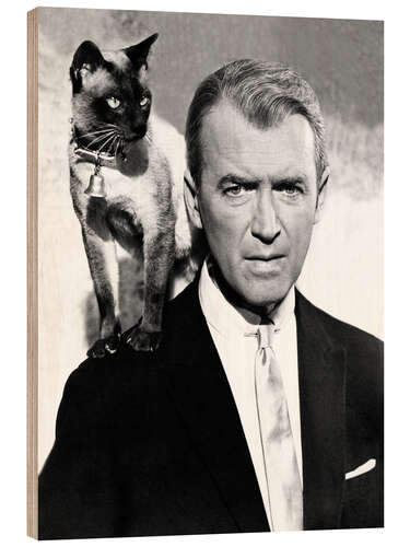 Obraz na drewnie James Stewart in "Bell, Book and Candle", 1958