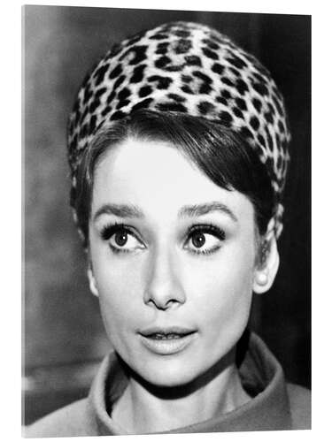 Acrylic print Audrey Hepburn with Leo Bandana, 1963