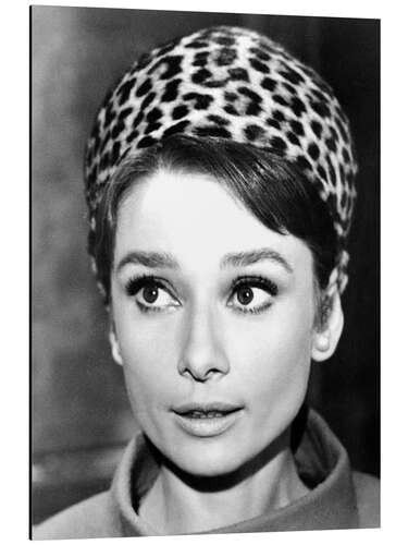 Aluminiumtavla Audrey Hepburn with Leo Bandana, 1963