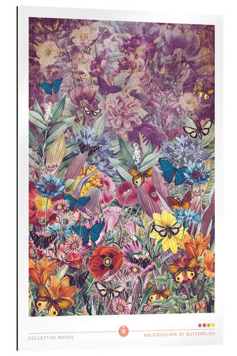 Gallery print Kaleidoscope of Butterflies