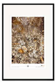 Gerahmter Kunstdruck Parlament der Eulen