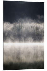 Aluminium print Fog at Hintersee, Ramsau, Bavaria