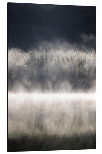 Tableau en plexi-alu Fog at Hintersee, Ramsau, Bavaria