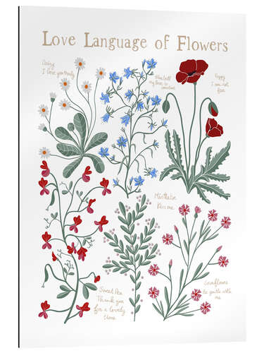 Gallery Print Floriography, the Love Language of Flowers