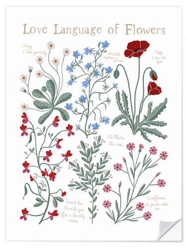 Selvklebende plakat Floriography, the Love Language of Flowers