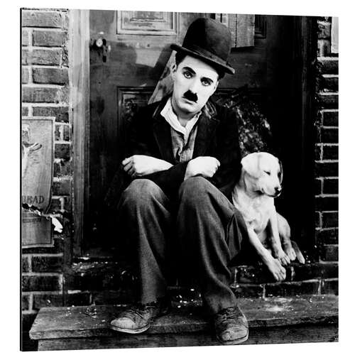 Aluminiumsbilde Charlie Chaplin in "A Dog's Life", 1918