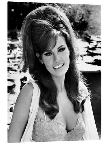 Akryylilasitaulu Raquel Welch in "The Biggest Bundle of Them All", 1968