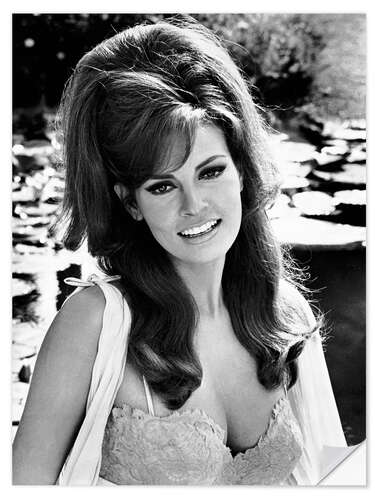 Sticker mural Raquel Welch in "The Biggest Bundle of Them All", 1968