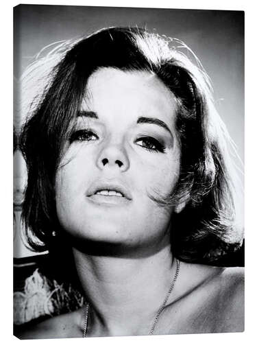 Canvas print Romy Schneider, ca. 1964