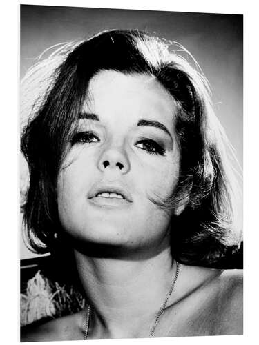 Foam board print Romy Schneider, ca. 1964