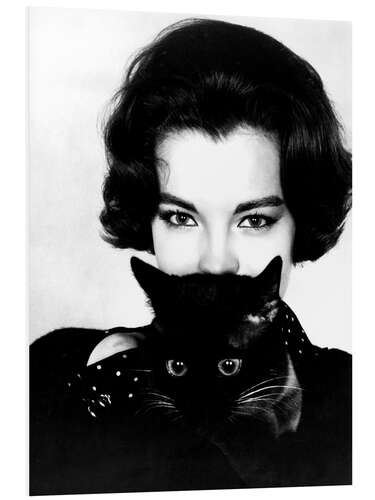 PVC-tavla Romy Schneider and Black Cat, 1965