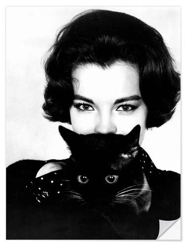 Naklejka na ścianę Romy Schneider and Black Cat, 1965