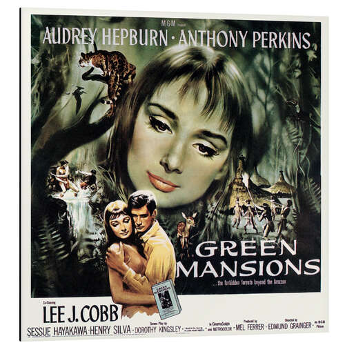 Aluminium print Audrey Hepburn - Green Mansions, 1959