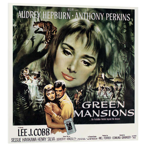 Tableau en PVC Audrey Hepburn - Green Mansions, 1959