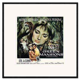 Framed art print Audrey Hepburn - Green Mansions, 1959