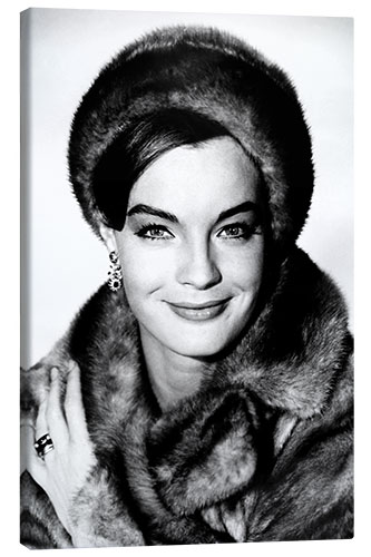 Canvas print Romy Schneider inn "Good Neighbor Sam", 1964