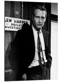 Cuadro de aluminio Paul Newman in "Harper", 1966