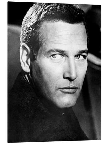 Quadro em acrílico Paul Newman in "Torn Curtain", 1966