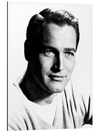 Cuadro de aluminio Portrait of Paul Newman